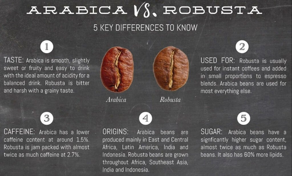 Arabica vs. Robusta - 5 Key Differences to Know